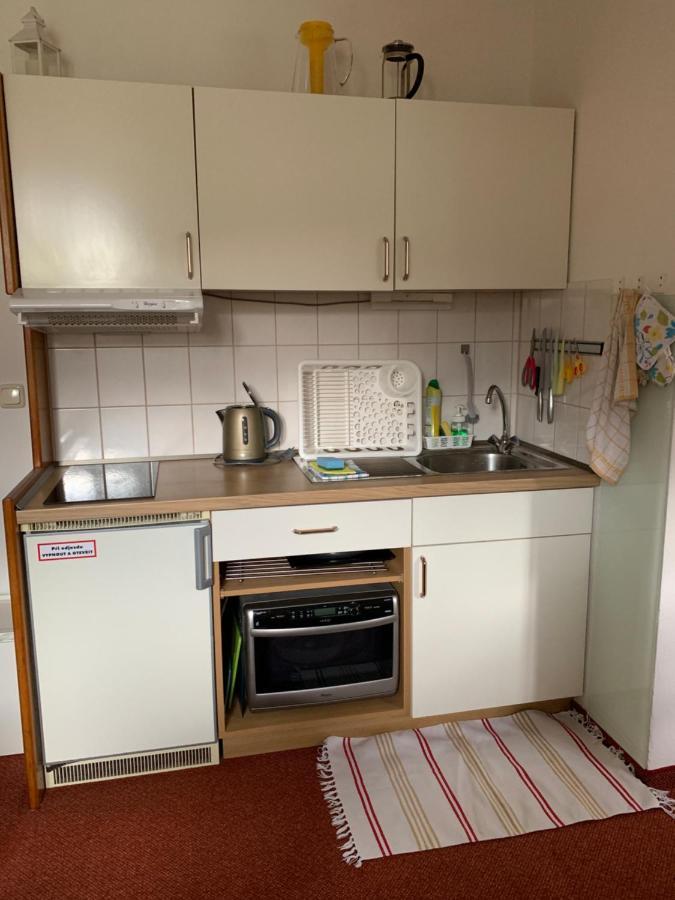 Apartman Viki Apartment Philippsreut Exterior photo